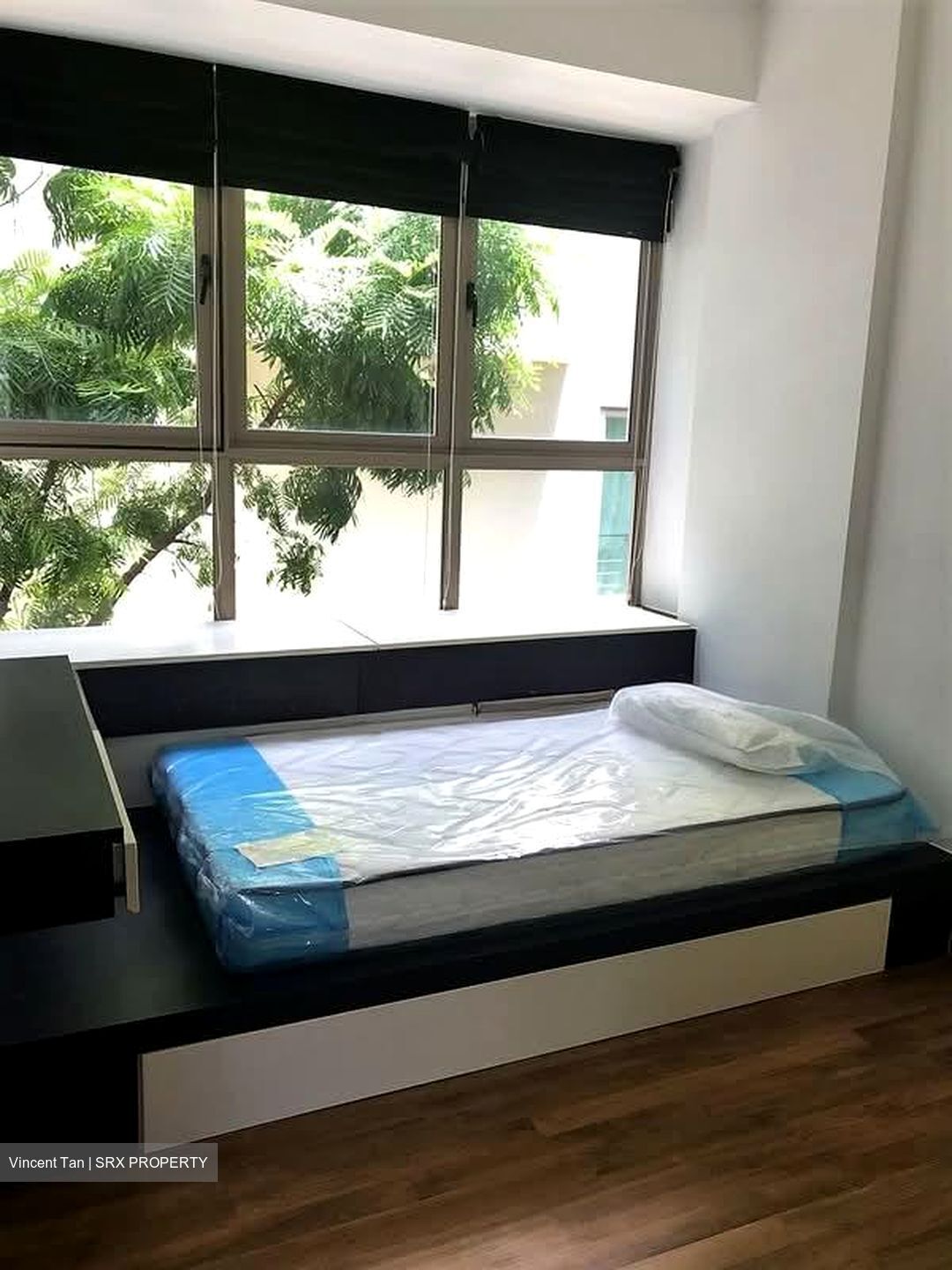 The Adara (D15), Apartment #555636591